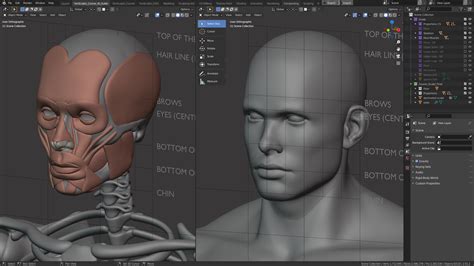 Anatomy and Form in Blender - Sculpting Course - Blender Market