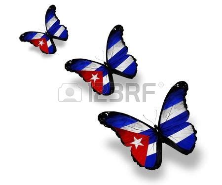 Three Cuban flag butterflies, isolated on white | Cuban flag, Flag art ...