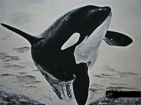 Pin di Rosanna Cafarella su REALISTIC DRAWINGS OF ANIMALS | Orca art ...