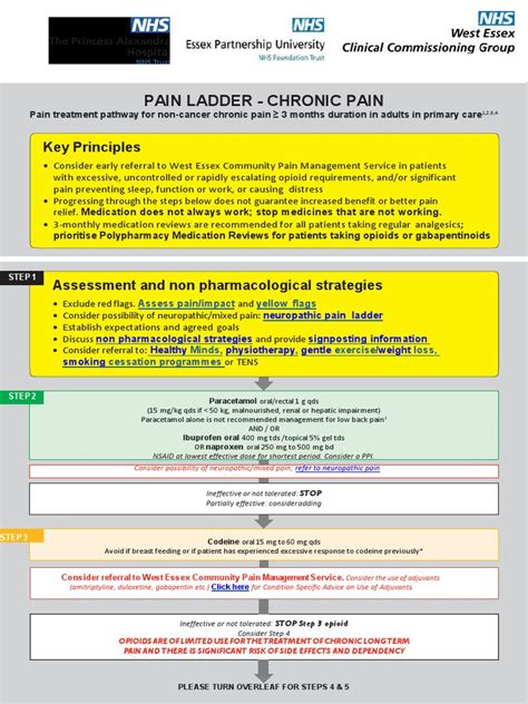 Pain Ladder - Chronic Guidelines | PDF