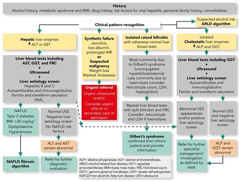 Liver Blood Tests: How to Interpret Abnormal Results