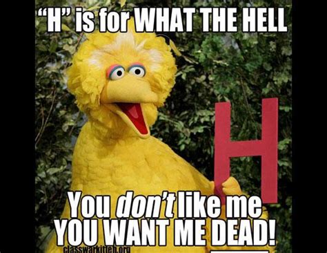 Big Bird Memes Go Viral Picture | Big Bird Memes Go Viral - ABC News