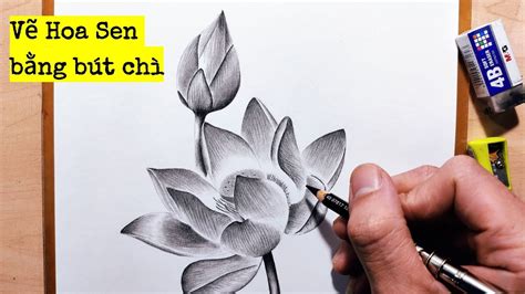 Vẽ Hoa Sen Bằng Bút Chì - how to draw lotus - YouTube