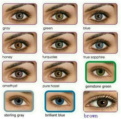 All About The Human Eye Color Chart