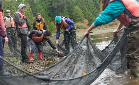 2023 Marine Science Education Internship opportunity | Bamfield Marine ...