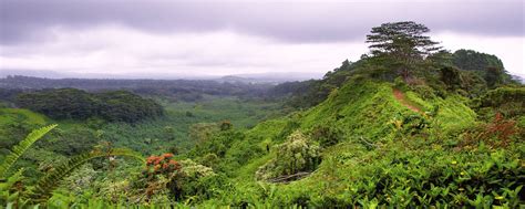 Terrestrial Ecosystems | U.S. Climate Resilience Toolkit