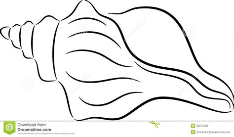 Free Conch Shell Outline, Download Free Conch Shell Outline png images ...