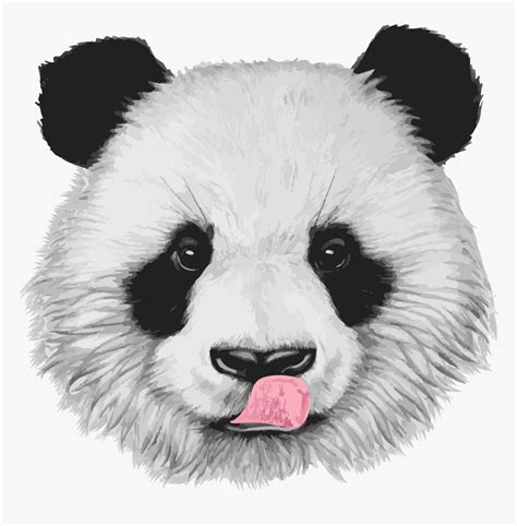 Panda Drawing Realistic - Janeesstory