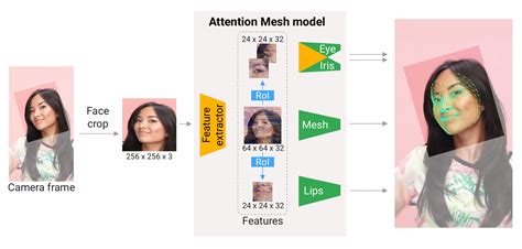 Face Mesh - mediapipe