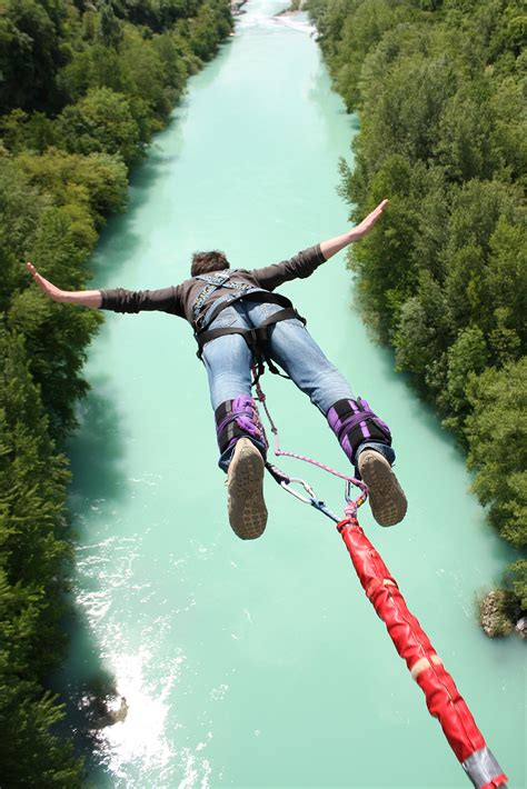 Quotes about Bungee Jumping (65 quotes)