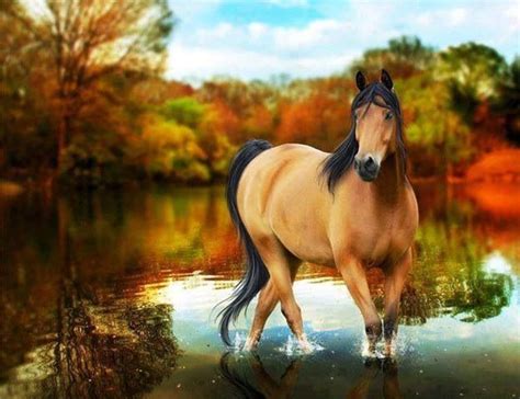 Buckskin | Horses, Horse wallpaper, Free horses