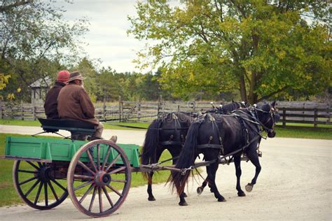 Horse Pull Cart editorial photo. Image of field, country - 66482616