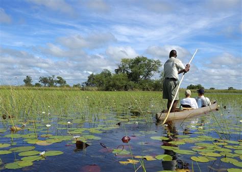 Visit Maun, Botswana | Tailor-Made Vacations | Audley Travel US