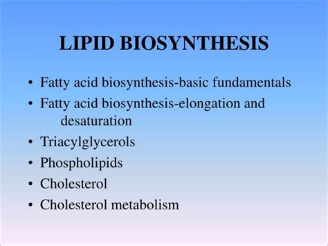 PPT - LIPID BIOSYNTHESIS PowerPoint Presentation, free download - ID ...