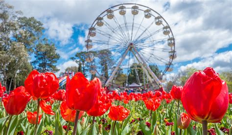 Your Guide to Canberra’s Floriade 2017