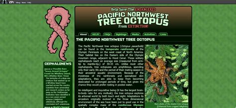 pacific northwest tree octopus wikipedia - Dyan Parson