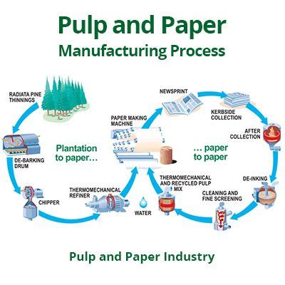 Pulp and Paper Manufacturing Process in the Paper Industry | Paper ...