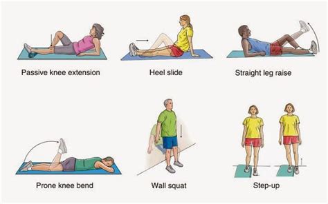 LCL Injury Exercises. Google+ | Straight leg raise, Exercise, Holistic ...