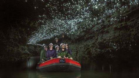 Who Discovered The Waitomo Glowworm Caves