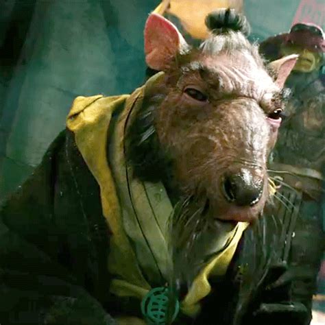 Master Splinter 2014 #tmnt