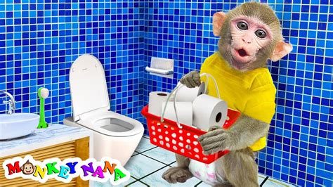 Monkey Nana play with Toilet Paper in the toilet | KUDO ANIMAL NANA ...