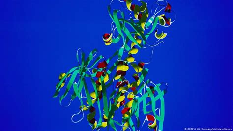 AI protein database reveal is 'a great leap' for biology - MarketExpress