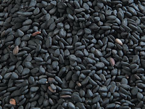 Organic Black Sesame Seeds Manufacturers, Suppliers & Exporters