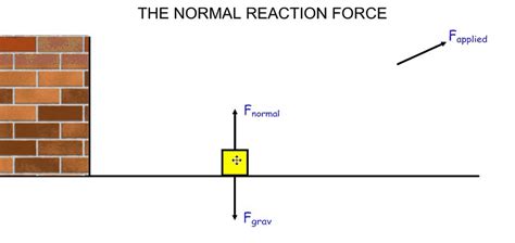 G10 The Normal (Reaction) Force - YouTube