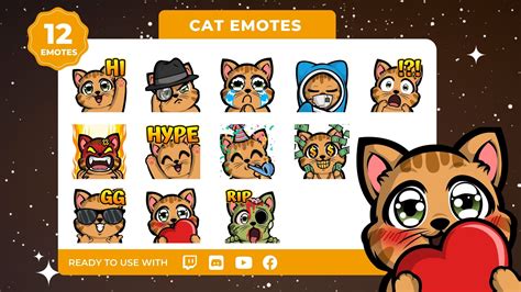 twitch emotes twitch emotes/ cat emote animated emote sub badges 1 set ...