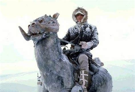 Star Wars The Empire Strikes Back Han Solo on Tauntaun