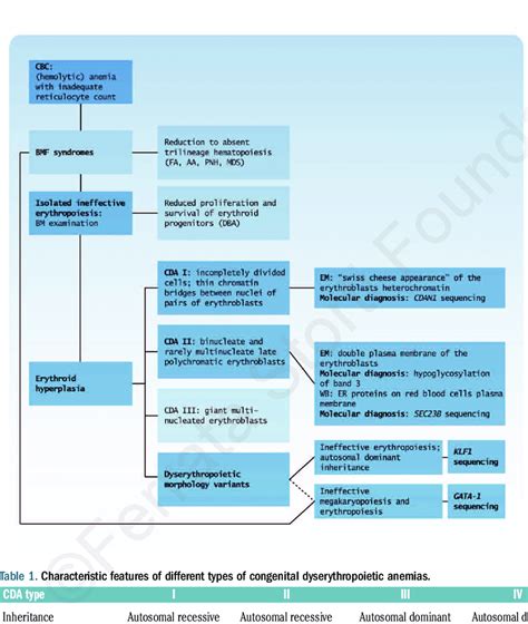 Flow diagram for differential diagnosis of CDAs. This diagram shows the ...