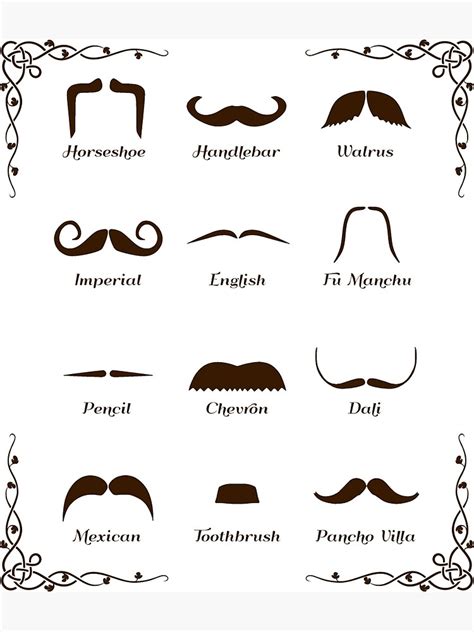 Moustache Styles Chart