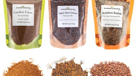 Spicy Microgreen Seed Variety Pack | Rainbow Heirloom See