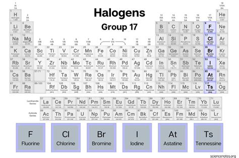 Halogen Elements - List and Facts | Electron configuration, Nuclear ...