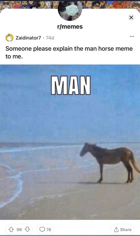 horse on beach meme - Micheal Joerger