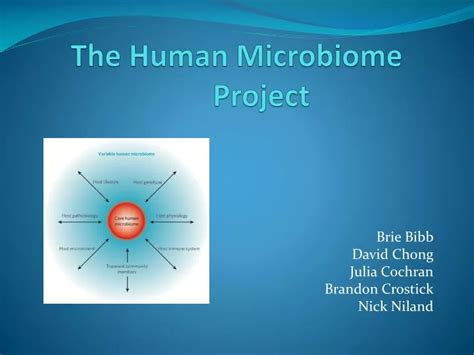 PPT - The Human Microbiome Project PowerPoint Presentation, free ...