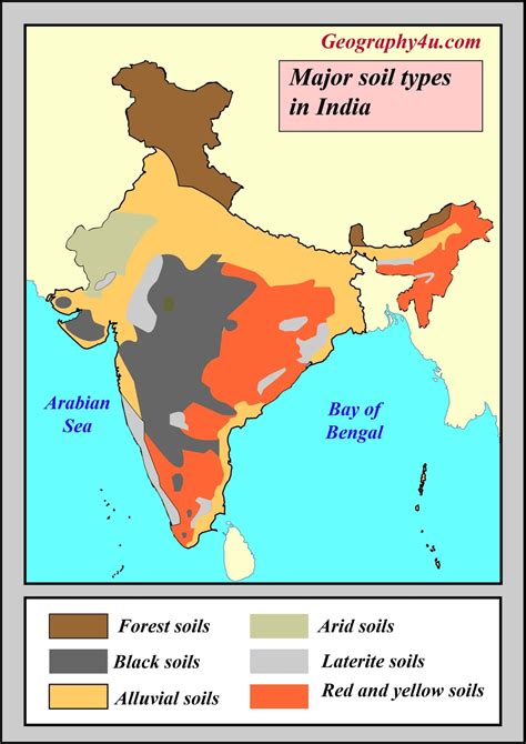 Soil types of India - its characteristics and Classification ...