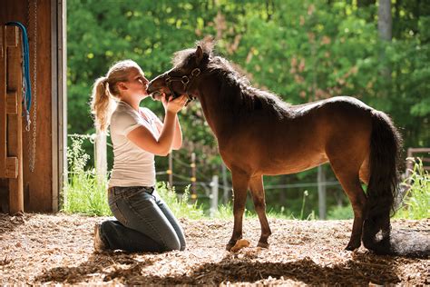 Pygmy Pony