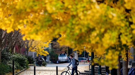 Carolina Housing: Week-In-Review - UNC Housing