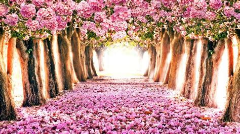 Desktop Wallpaper Spring Season – Cute Wallpapers 2024