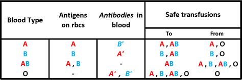 ABO blood group transfusions