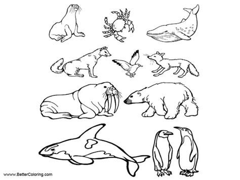 Arctic Tundra Animals Coloring Pages - Free Printable Coloring Pages