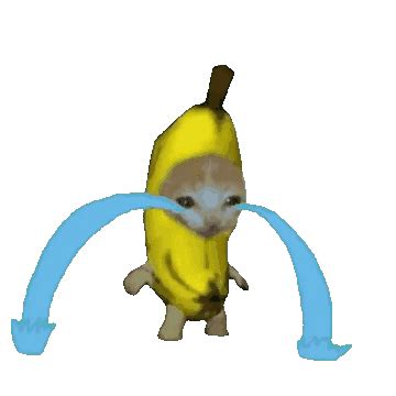 Banana Cat Gif - IceGif