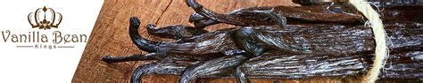 Amazon.com: Vanilla Bean Kings: Gourmet Grade A Vanilla Beans