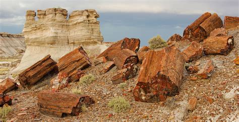 Petrified Forest National Park | Arizona, Fossils, Petroglyphs | Britannica