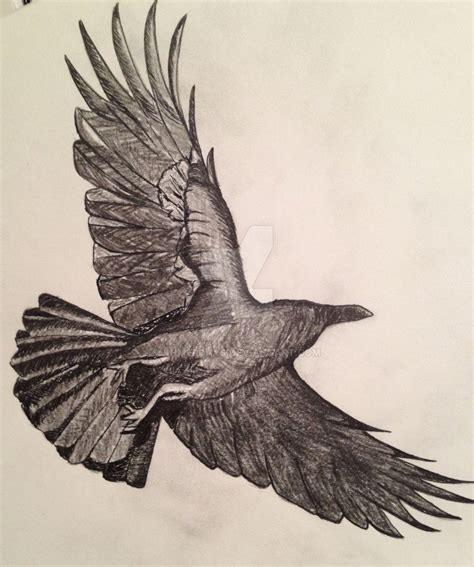 Flying Raven Drawing at GetDrawings | Free download