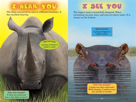 Rhino vs. Hippo - ABDO Publishing Company