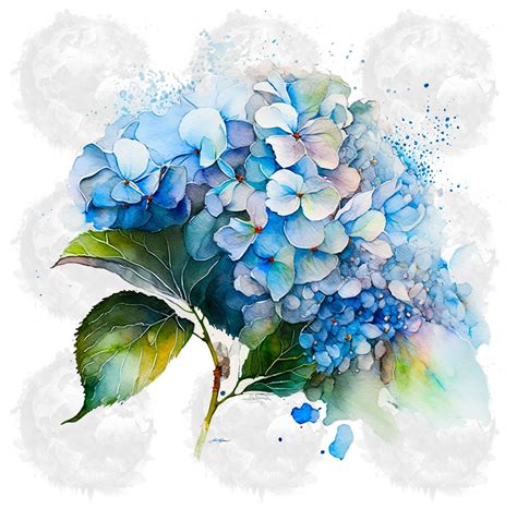 Hydrangea Art, Watercolor Hydrangea Clipart, Watercolor Hydrangea ...