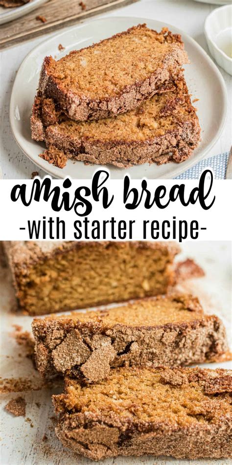 Amish Friendship Bread Starter Recipe / How To Make Your Own Amish ...