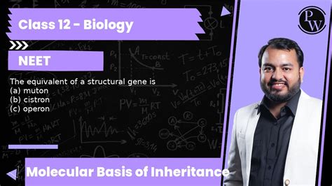 The equivalent of a structural gene is (a) muton (b) cistron (c) operon ...